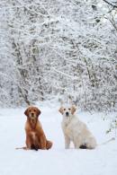 4a46e6c8621bcc2cd1af93b1a606949f_130x195_fill