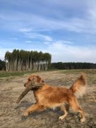 4afef528ddf19df8998ade9fa051f310_138x184_fill