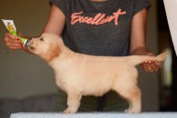 4b04f012dd815589b1b24b09c4c4a58d_195