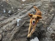 4b084891f7e3fbda1541aee70f0843d4_184x138_fill