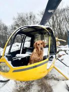 4b31ca8dc6d31249395e6333246bb2e7_138x184_fill