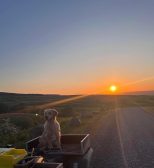 4b8fc3be8ed411b33a93a2826ad9f817_154x168