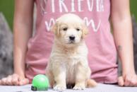 4b951910b42ce8171eab0c89e64642b2_194