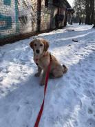 4bb7e3711fcc798e6abacd318f3ee37f_138x184_fill