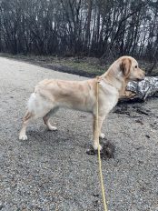 4be76531a94ac20a4e64b7c6b958c0ca_174x232_fill