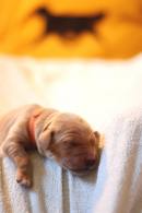 4beb9e73c88accfd85ca6af1a12329c9_130x195