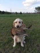 4bfb113b175c6ab8d5fd8f27fa8dcb75_138x184