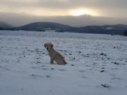 4c1f02d842ba50ca5f0283339da386db_184x138_fill