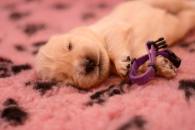 4c449d116854b6f6fe2eaf75648364c3_195