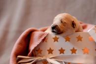 4c8f178115348d067931cddefb3b0880_194