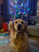 4ca0fd800f9231eee54f4322ac79ca1a_138x184_fill