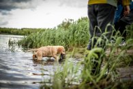 4daacd332f370ff4354b8fe0470f1b1e_195