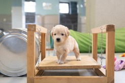 4dc50bcc9058bf5e96b84f3fabee709d_246