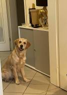 4e2c00cacc1fb271efa6a010f7876870_134x190