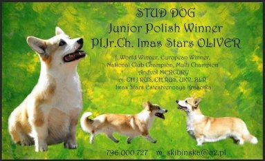 4e362d6c9dc5423575b1a634925ac740_383