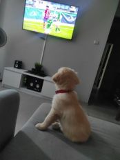 4e368b819f1b7035f4ea6d0161d87f2f_174x232_fill