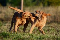 4e5fdc5f728a93ed91b06cbc7f638718_195