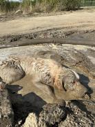 4ec06105e346d66a1ae8cc01580e5f59_138x184_fill