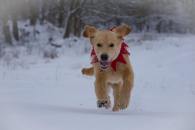 4ef34ea32215de65e10867bcae03e1e1_195