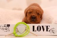 4fbfa4416cf33a37dc4b6d95a0d022fd_194