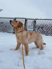 4fc461ee3943c0b7178b927243dfc742_174x232_fill