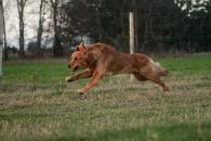 501bbc7e8dcabfa536aa17505ffeb0bd_195x130_fill