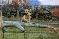 502c3ec4bbfb7120b3678906b6701948_195x130_fill