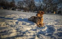 508858df9a9b54fb8495c64c1c1df4a7_202