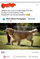 5090ba63024d5850399eaea76eb9bf0f_132x195