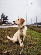 5147952a6e3e9e011d5bf51a54826c72_138x184_fill