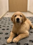 5153088c02e6c7d1799e71e747ec3486_138x184_fill