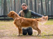 51543b2bc0bc5edf8ba18e949a1a993e_187