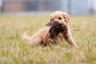 515f00f6b55e2bd254f0a340eb53396b_195x130_fill