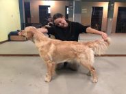 516083396688285f73909e59bd1f7f83_184x138_fill