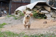 51648bcc2762a5f0aa53e708e8734cd0_195