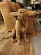 517addd03393d5e6a0fb12a5c9a02443_138x184_fill