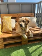 5203fabb7c841c656af3e0c46b9c640a_138x184_fill