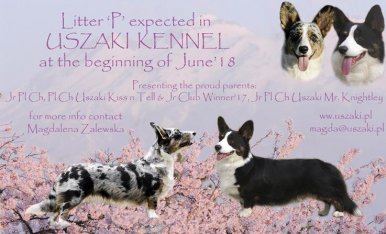 527c588815533a4bdf049b76fe0c95b2_386