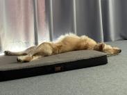 530d4323a0be51279a091e303b26195b_183