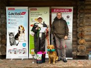 531d7efd7078cb44e6ba827a061c9b8a_184x138_fill