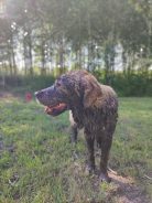 53e51e5f84d76447f6f865373a67fbc8_138x184_fill