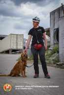 546f8a7d646c5bae25cae929a3ce808b_130x194