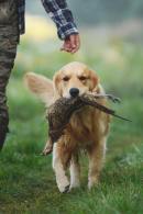 5498778b7be390f8ae3f77dfa5da71cf_130x195_fill