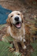 551bee2f06d9054afdf0110a6629958d_130x195_fill