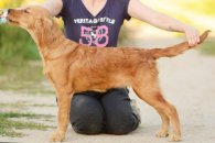 5522cd3b5346daa90137e57304e1dc1e_195