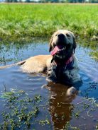 552aca9d2120739c4f45f7d5a4ea161f_138x184_fill