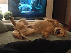 552f7462587ce327cb5d36e54b665e05_231