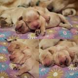 554519668985878ba7ad4e343fc85724_160x160_fill