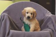 56993274af1ee4215336320230f2ea52_194