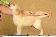 575a02cb245e9accfafea0ecbd9190f1_194